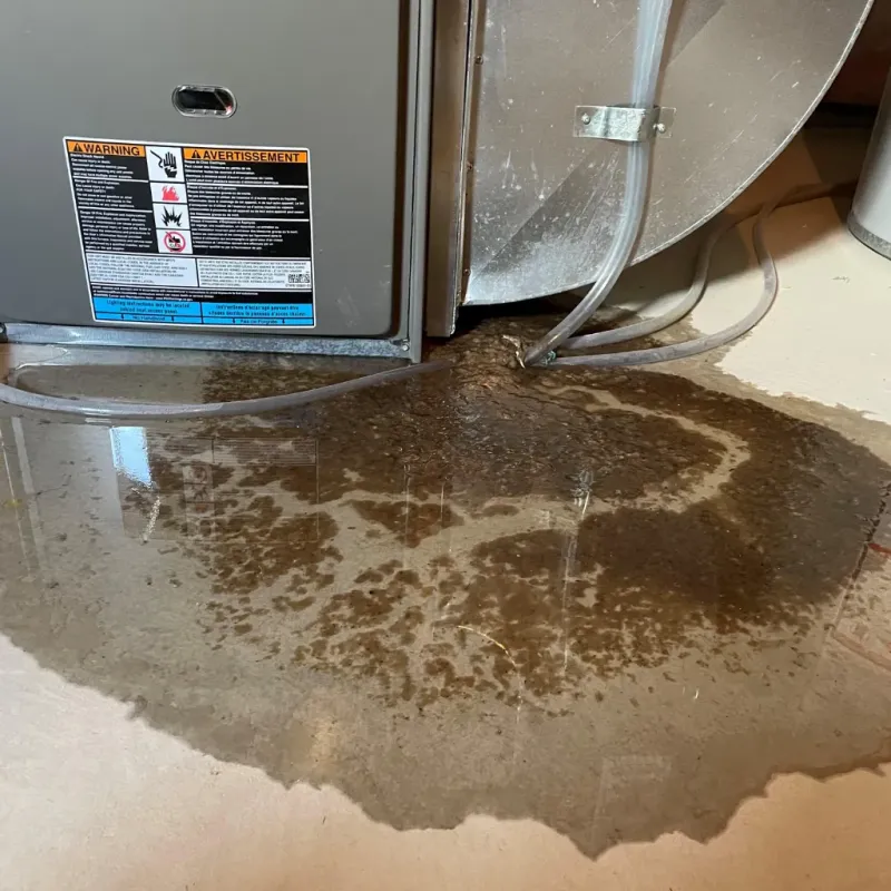 Appliance Leak Cleanup in Five Corners, WA