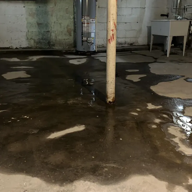 Emergency Water Extraction And Removal in Five Corners, WA